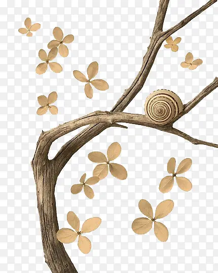 �ɿݵ���-������