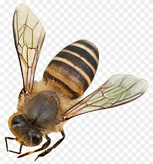 ��ӰҰ�������Ĵ�Ʒ�-������