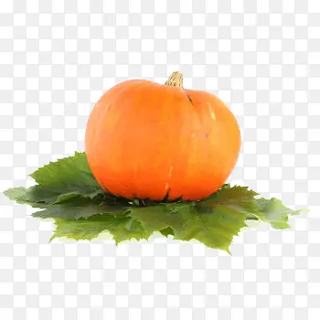 ���Ϻ��Ϲ�-������