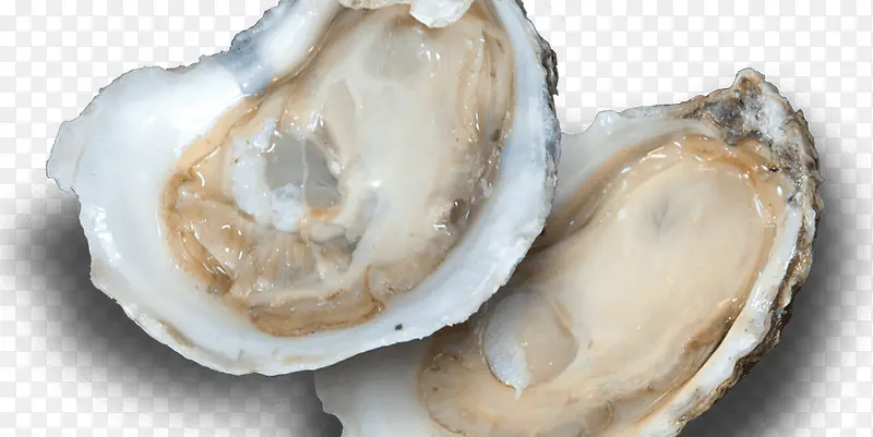 ��ζ�������-������