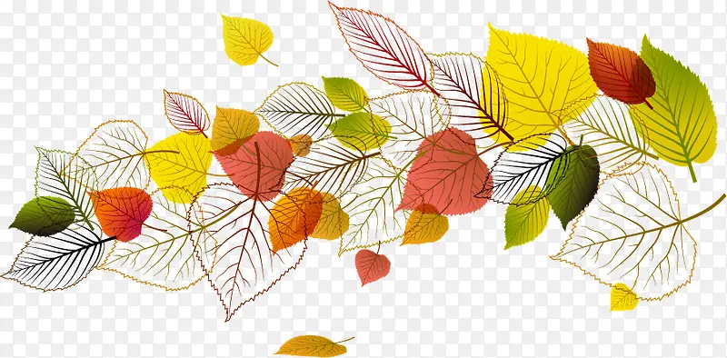 ʱ��ҶƬ-������