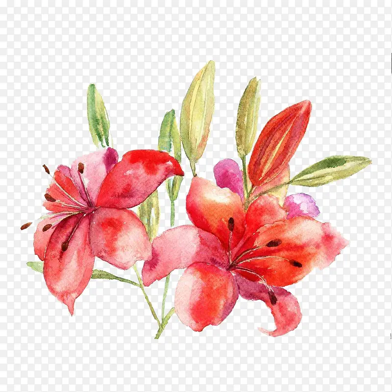 ˮ�ʺ�ٺ�-������