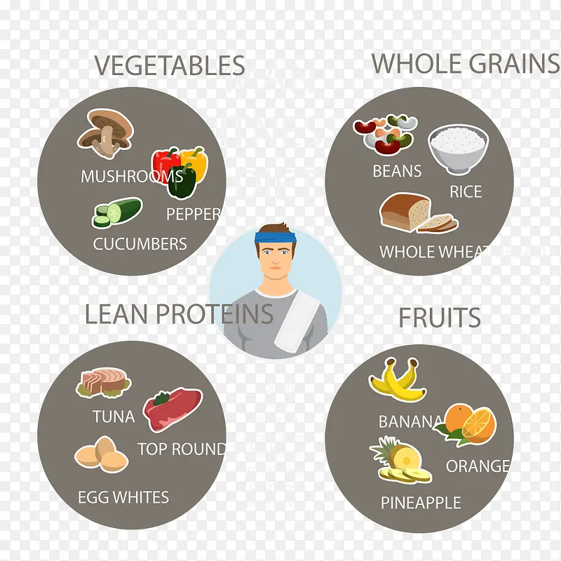 �������ӽ���ʳ��ʸ��-������