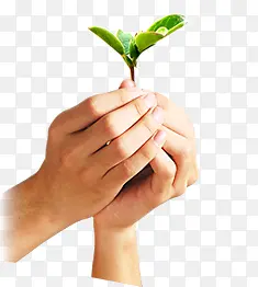 ����С��-������