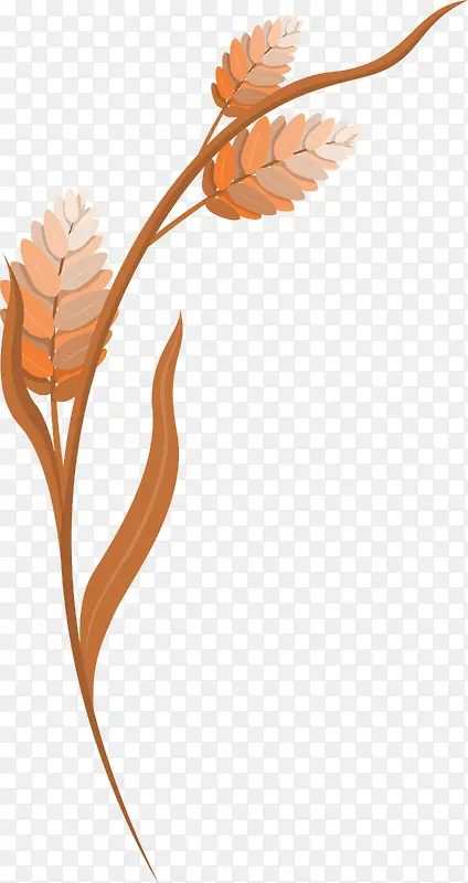 ���￨ͨҶ�Ӳ廭-������