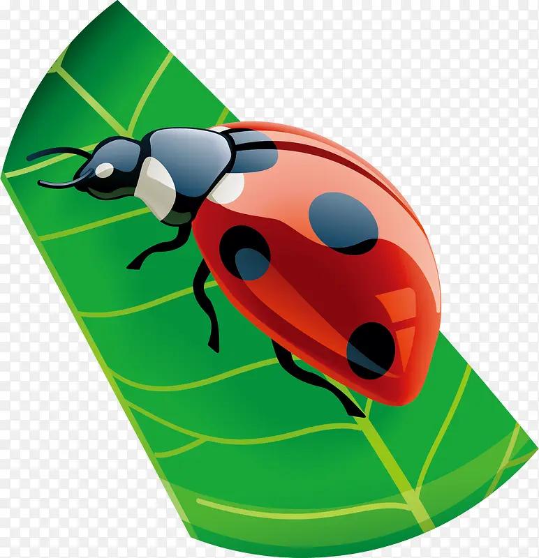 ����ư��pngʸ���ز�-������