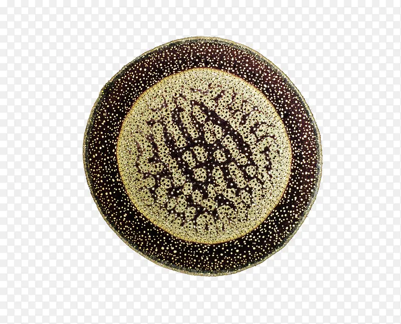 ����ϸ����ѧͼʾ-������