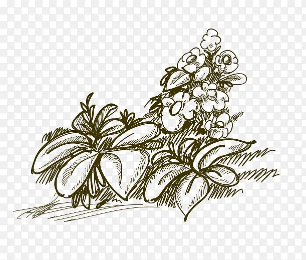 �ֻ��ʻ�-������