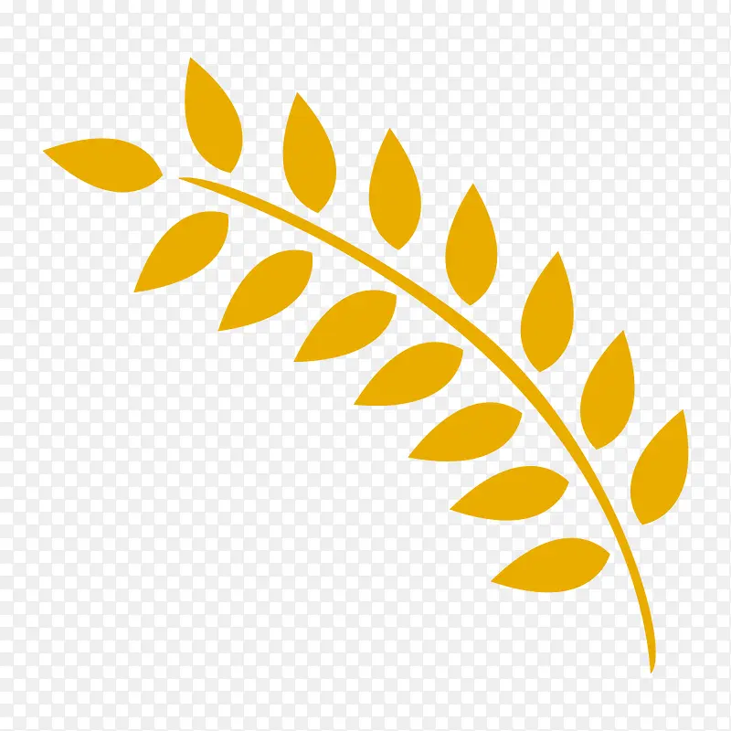 ��ɫ��Ҷ-������