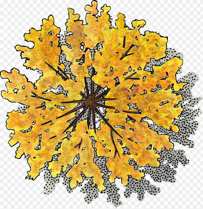 ��ɫֲ��-������