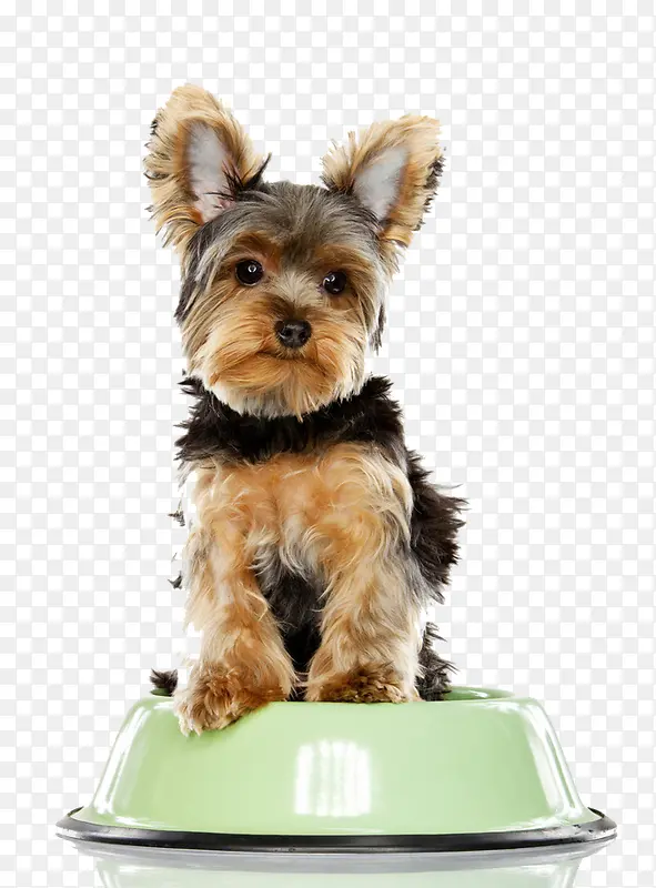 ������ӰС��������-������