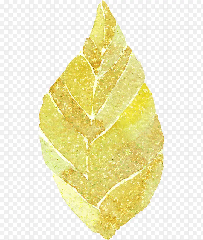 �廭��Ҷ-������