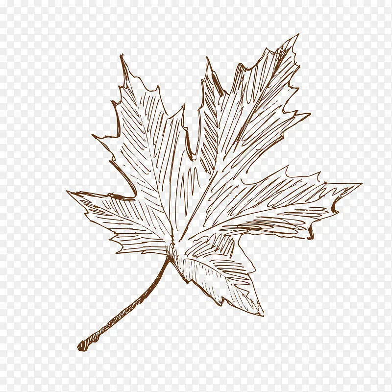 �ֻ�-������