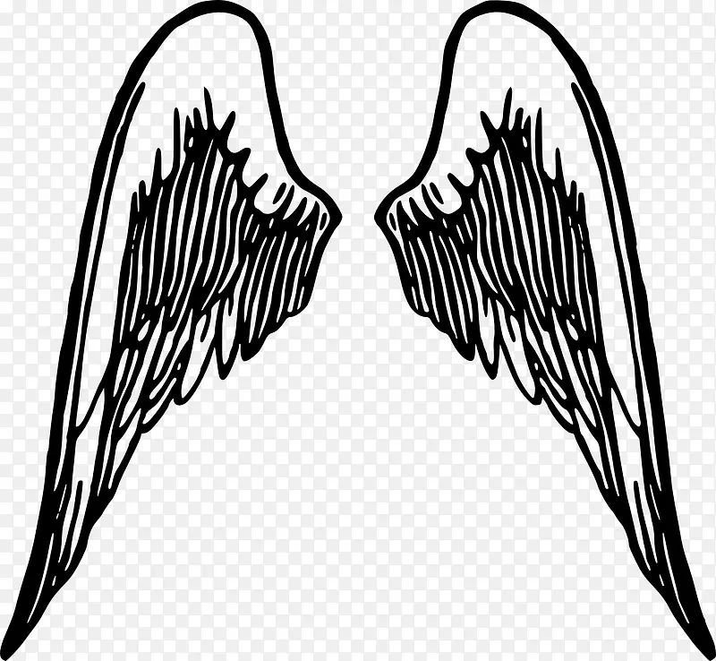 ���µĳ��-������