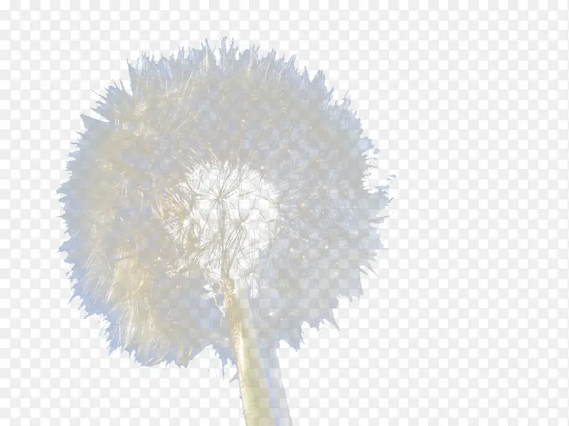 ѩ�޻���Ӱ-������