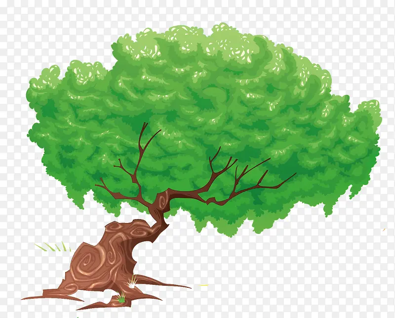 ��ɫ�������-������