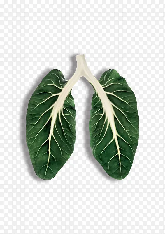 �߲�-������