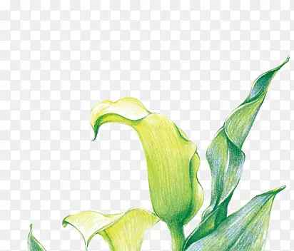 ��Ӱ��װ����Ч��Ԫ��-������