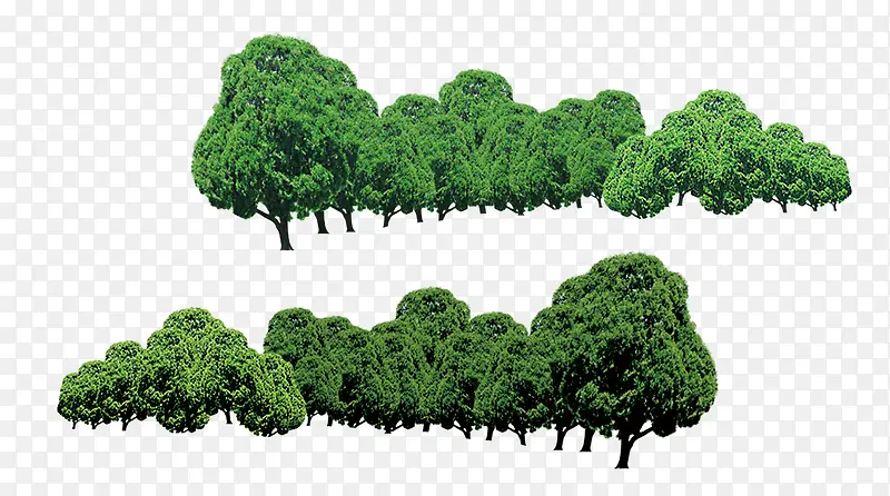 ��ɫ�����ز�-������