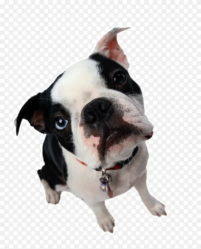 ��Ʒʵ���ͷ��-������