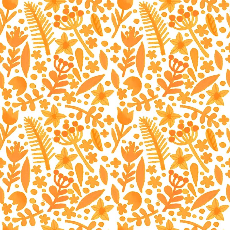 ��ɫˮ�ʻ���-������