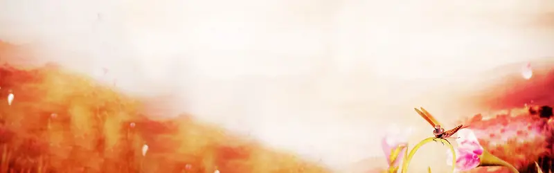 ��ɫ��Լ������������-������