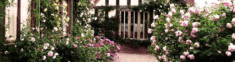 ����ͼ-������