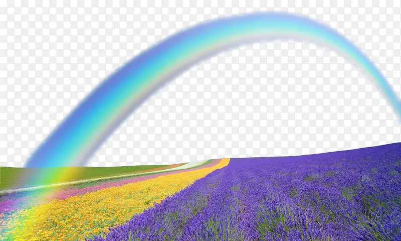 Ψ����޹�²ݻ����ʺ�-������