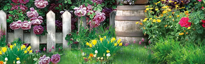 ����Ψ����԰��������-������