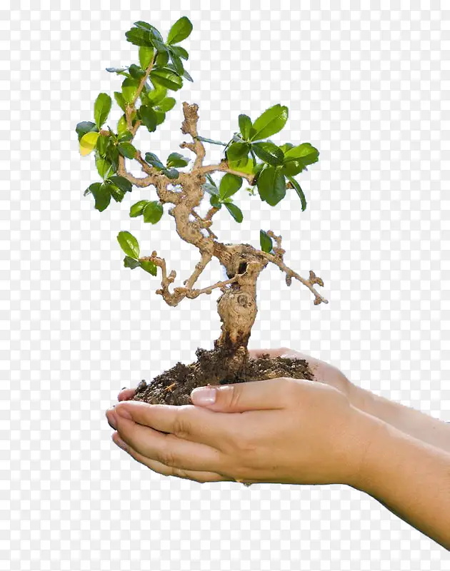 ��������-������