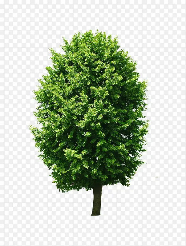 ��-������