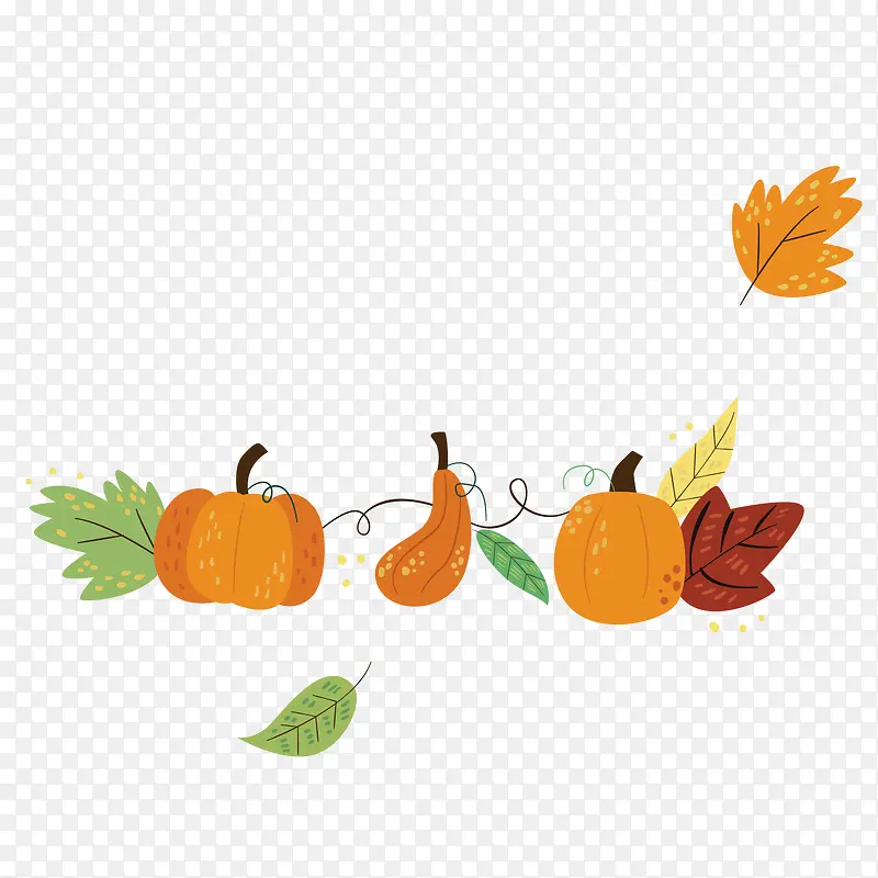 ��ͨ�＾�Ϲ��߲�-������