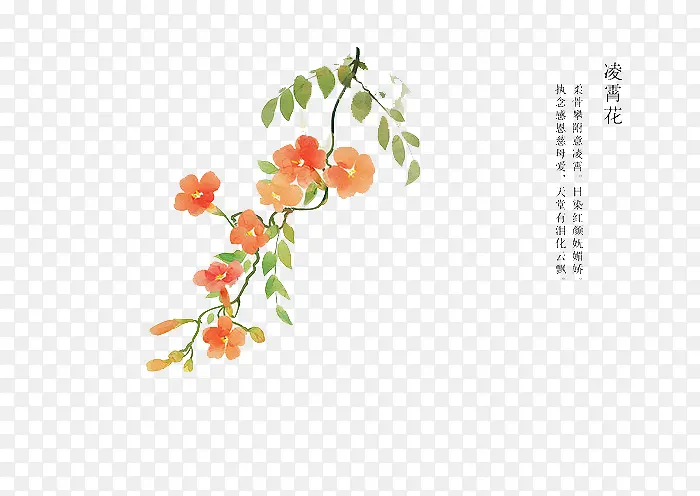 �ֻ滨��-������