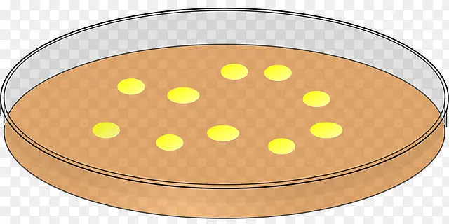 ʵ������������-������