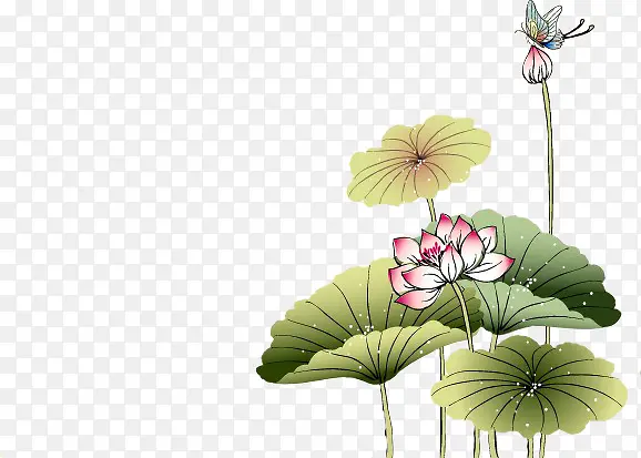 �ʻ�ɻ��廭-������