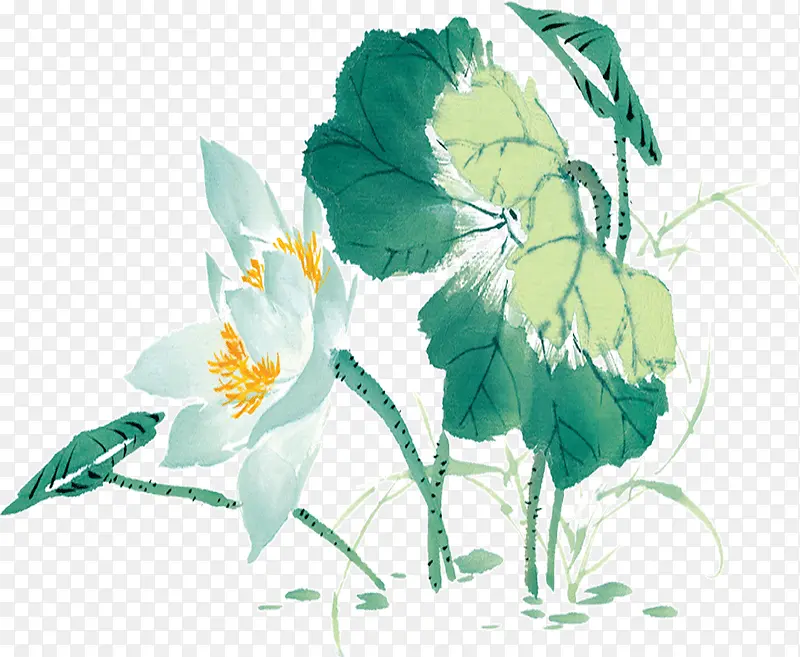 �ʻ��ɫ�ɻ�-������