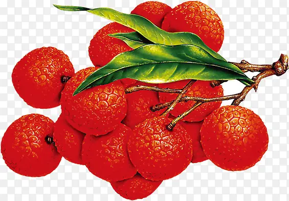 ��֦-������