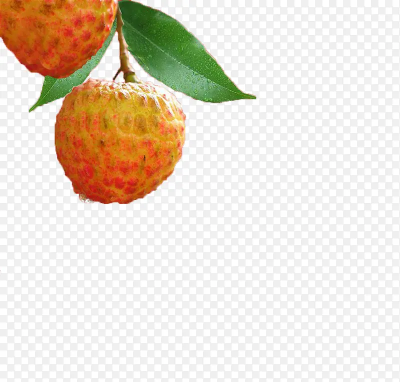 ˮ����֦-������