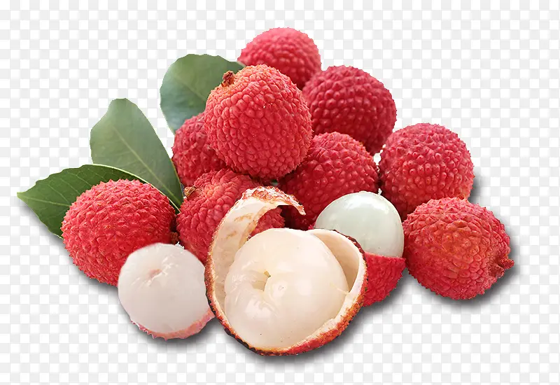 ����ˮ��������֦pngԪ��-������