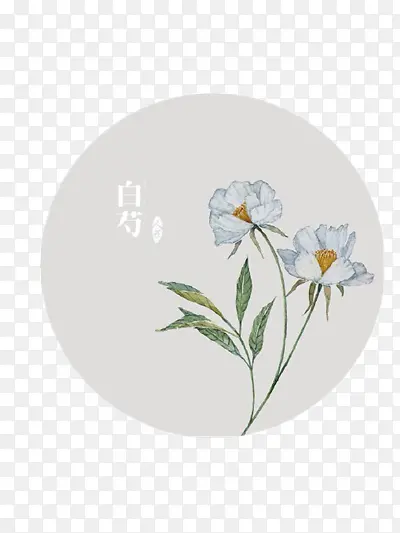 Բ�β廭-������