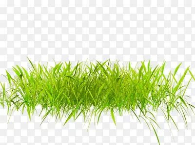 С��-������