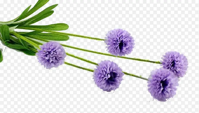 ���滨��-������