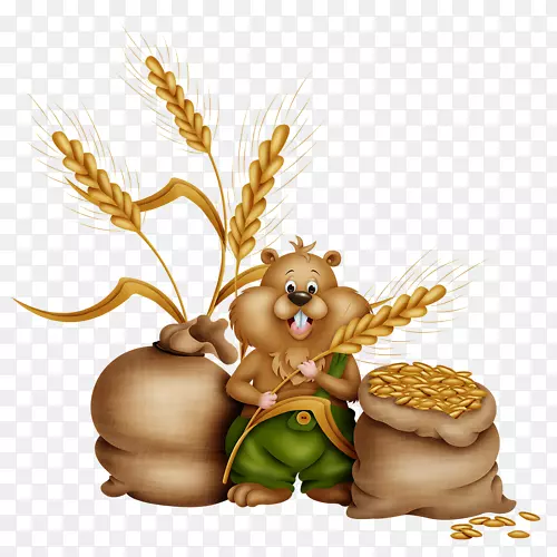 ʳ�ö�����Ʒ�ݿ�-��-������