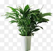 ��Ӱ������������Ч��-������