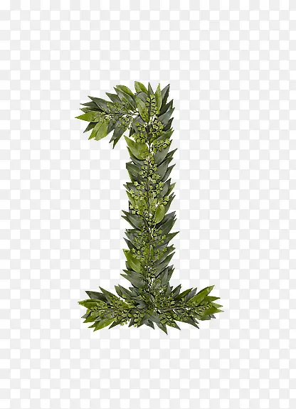 ��Ҷ��ĸ����1-������