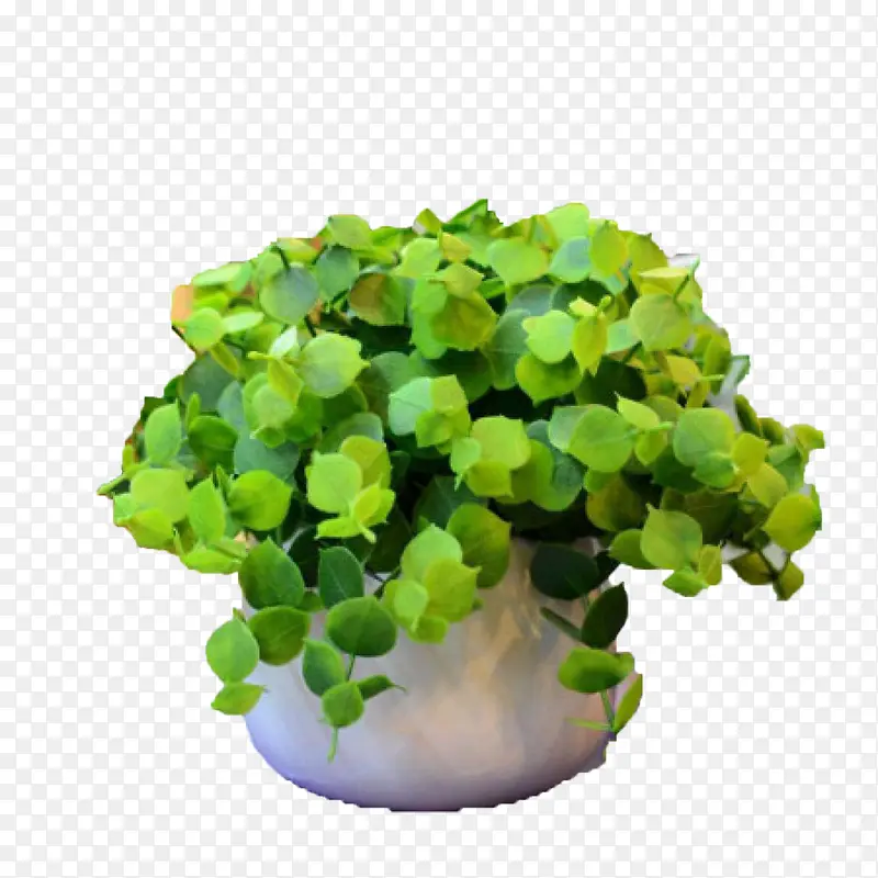 ���ɲ�����-������