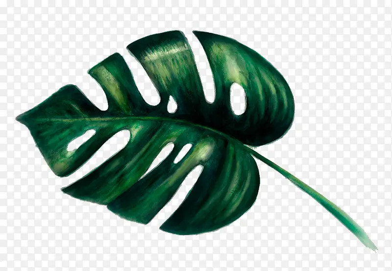 ʱ�вʻ�Ҷ��-������