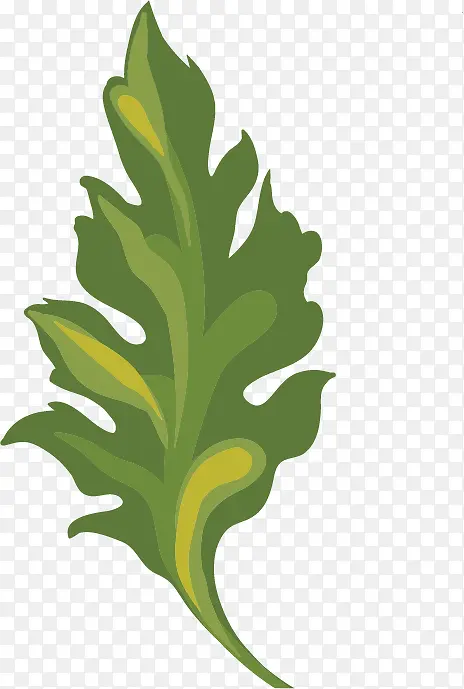 �ջ�Ҷ��ʸ��װ������ز�-������