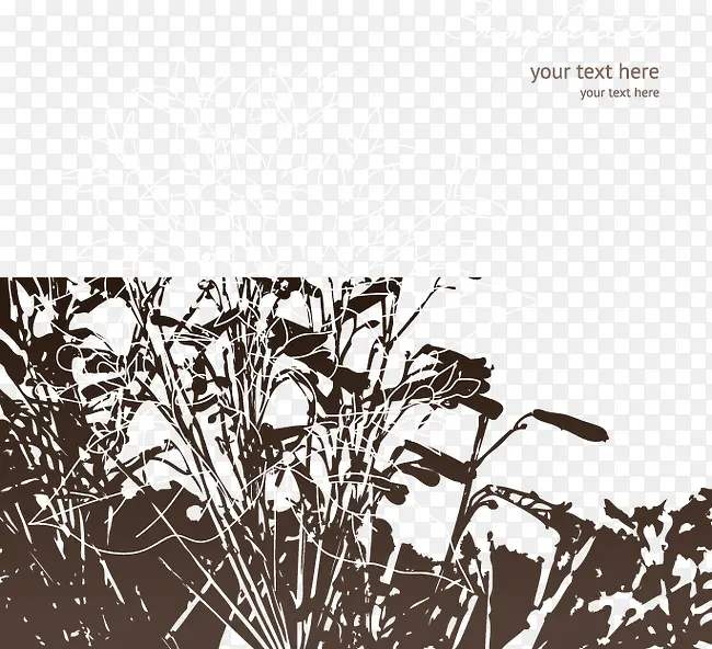 ��ͨ�ֻ����쾰ɫ-������