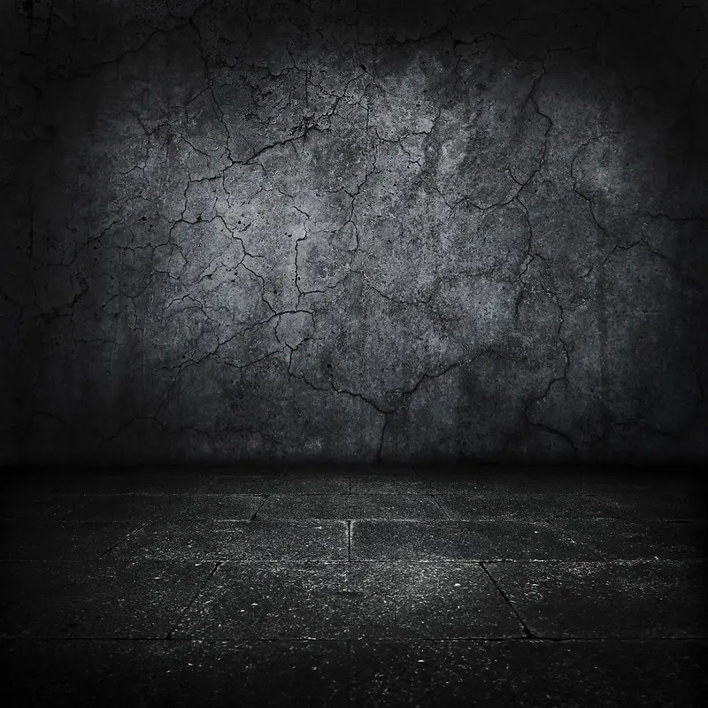 ����ǽ�ڵذ屳��-������